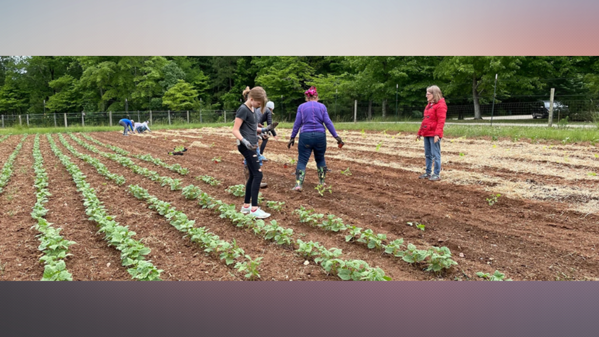 Volunteer at The Church at Spring Forest Farm