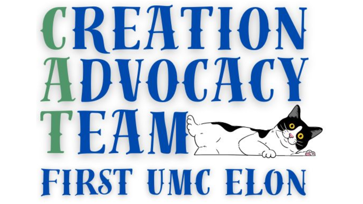District Creation Care Focus: Creation Advocacy Team, First UMC – Elon (CAT)