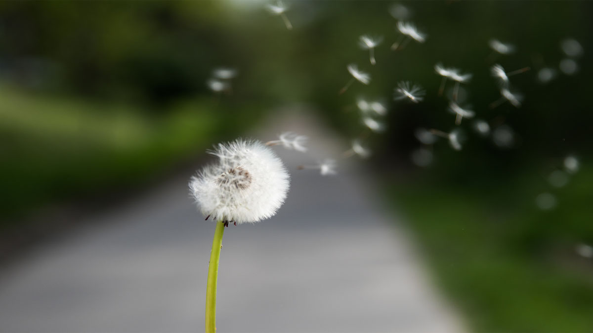 Claire..ifying Things: The Mystery of Transformation