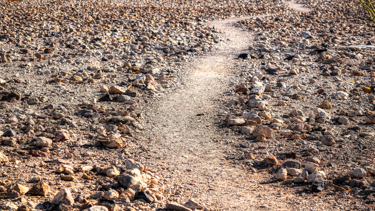 Claire…ifying Things: Following John Through Lent